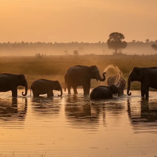 Beach cleanup event location 2