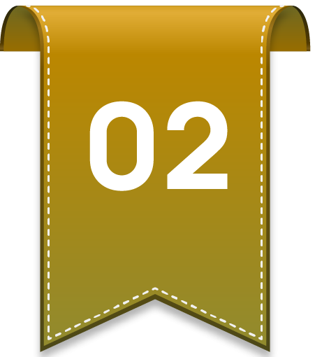 Phase 02 Badge